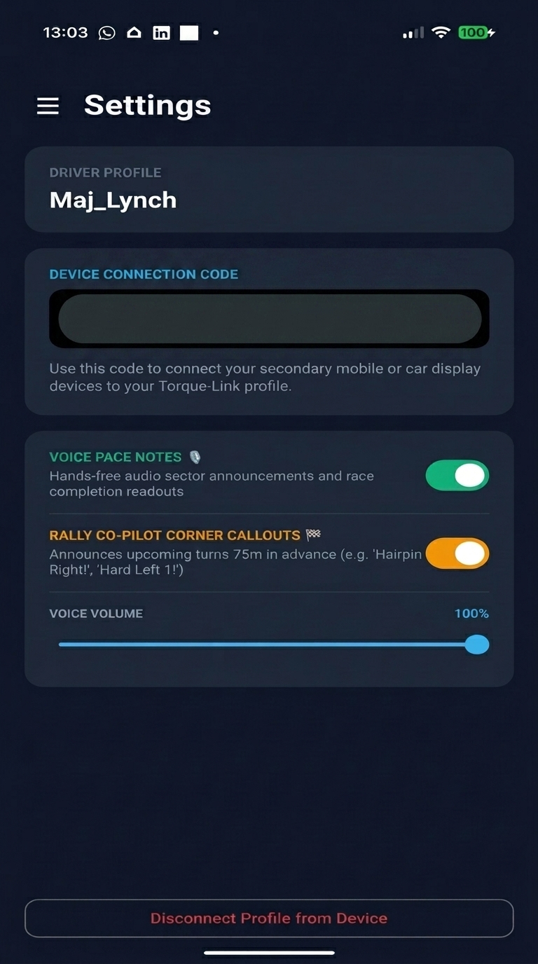 Torque-Link Voice Pace Notes & Co-Pilot Settings